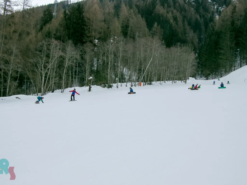 Skifahrende verteilt auf der Waldpiste.